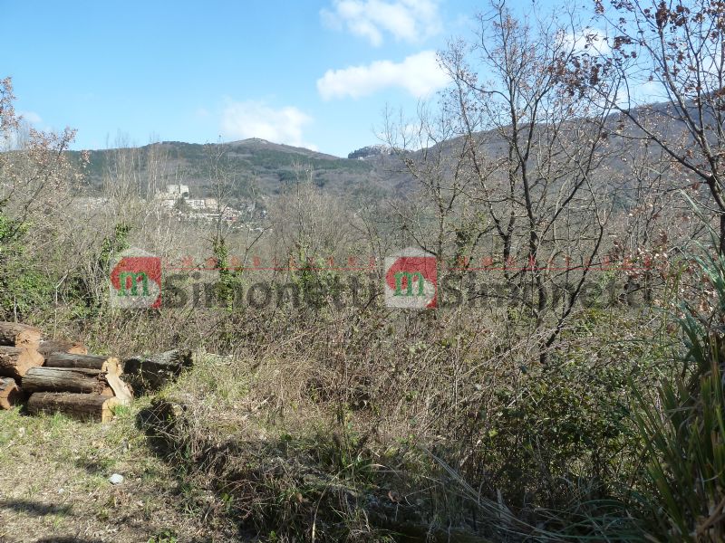 Villetta Arsoli via Nazionale Tiburtina 3