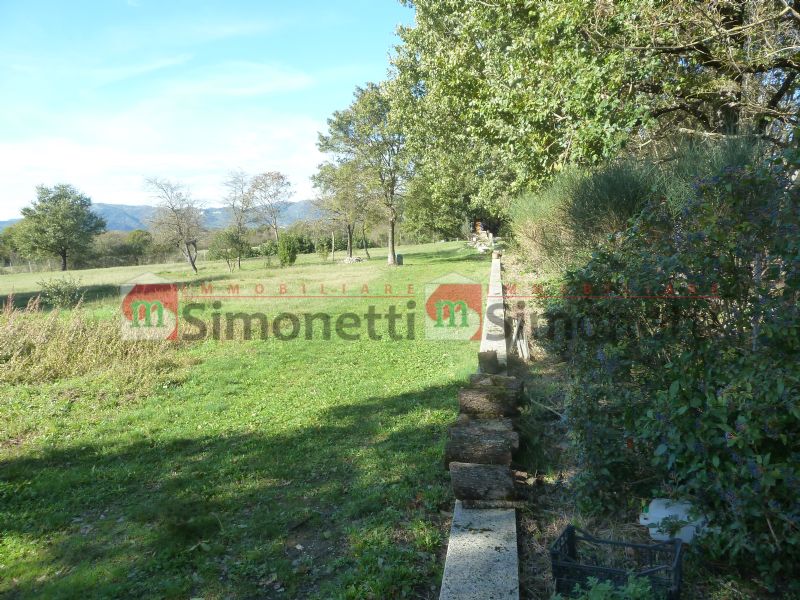 Terreno agricolo Pereto strada comunale ROCCA PERETO