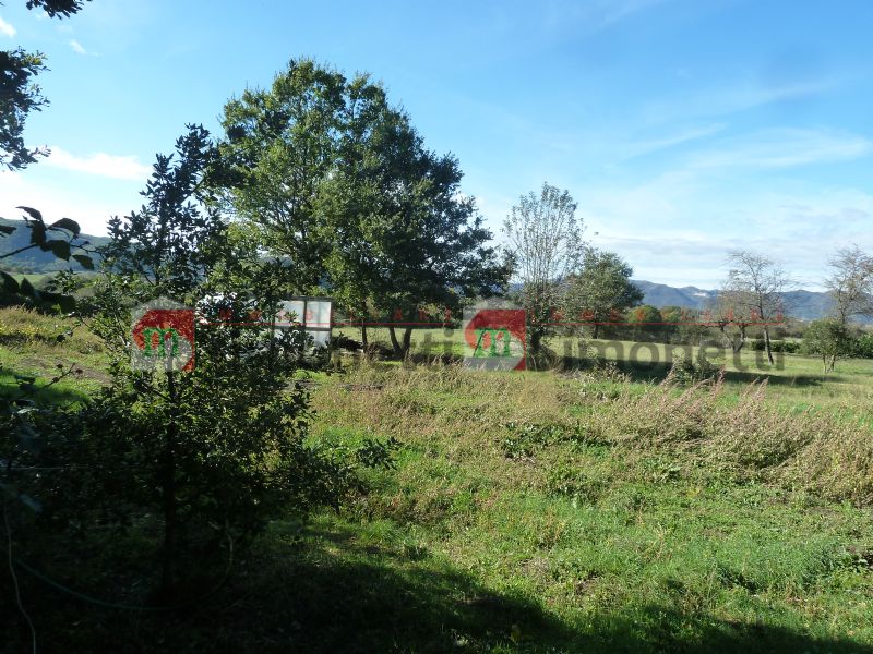 Terreno agricolo Pereto strada comunale ROCCA PERETO