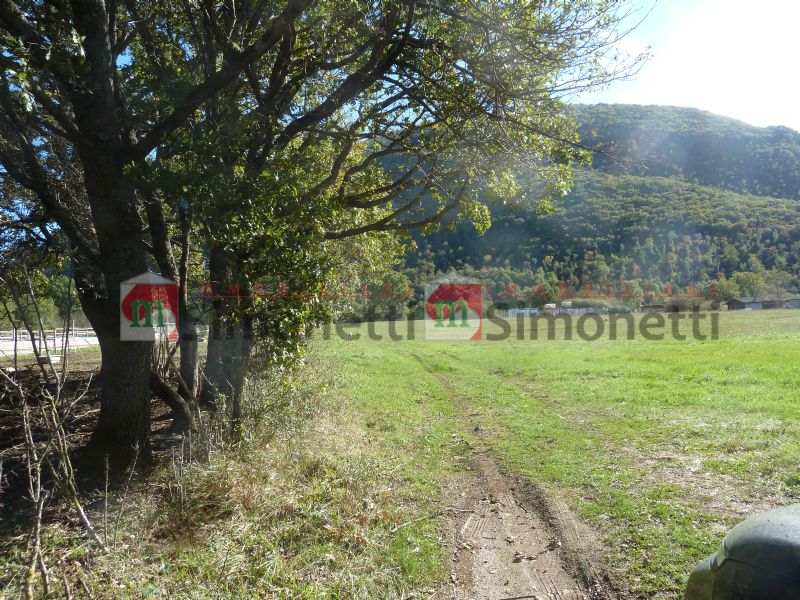 Terreno agricolo Pereto strada comunale ROCCA PERETO