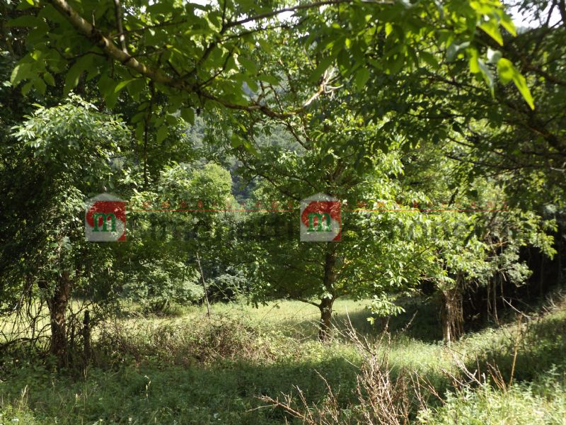 Terreno residenziale Carsoli strada patrapanna