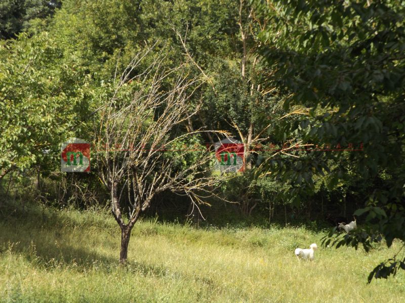 Terreno residenziale Carsoli strada patrapanna