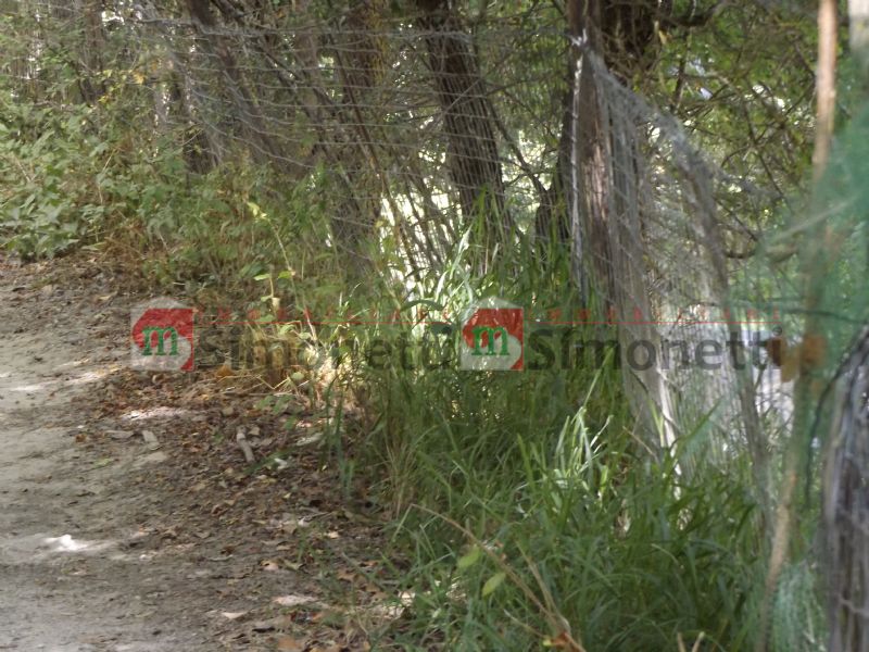 Terreno residenziale Carsoli strada patrapanna