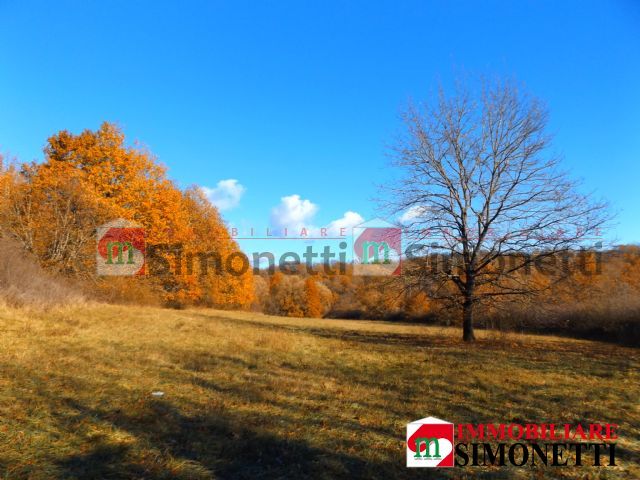 Terreno agricolo Vallinfreda strada provinciale 32b