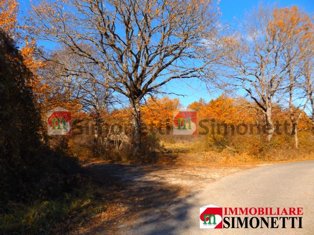 Terreno agricolo Vallinfreda strada provinciale 32b