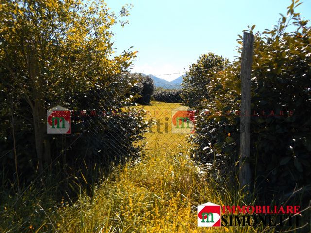 Terreno agricolo Oricola via Dei Gigli snc