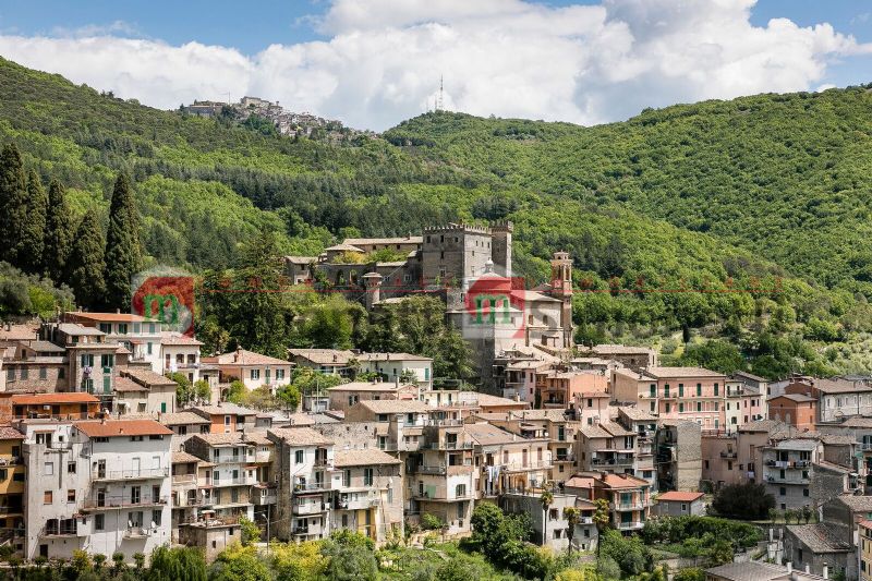 Terreno agricolo Arsoli via Aprutina