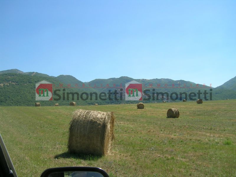 Terreno agricolo Oricola fondaco loc.oricola zona agricola