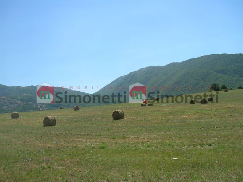 Terreno agricolo Oricola fondaco loc.oricola zona agricola